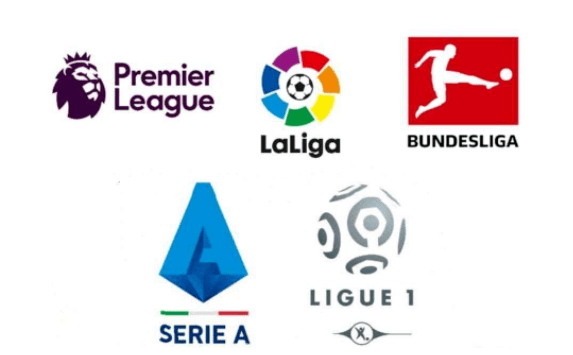 实际上揭示 实际上揭示